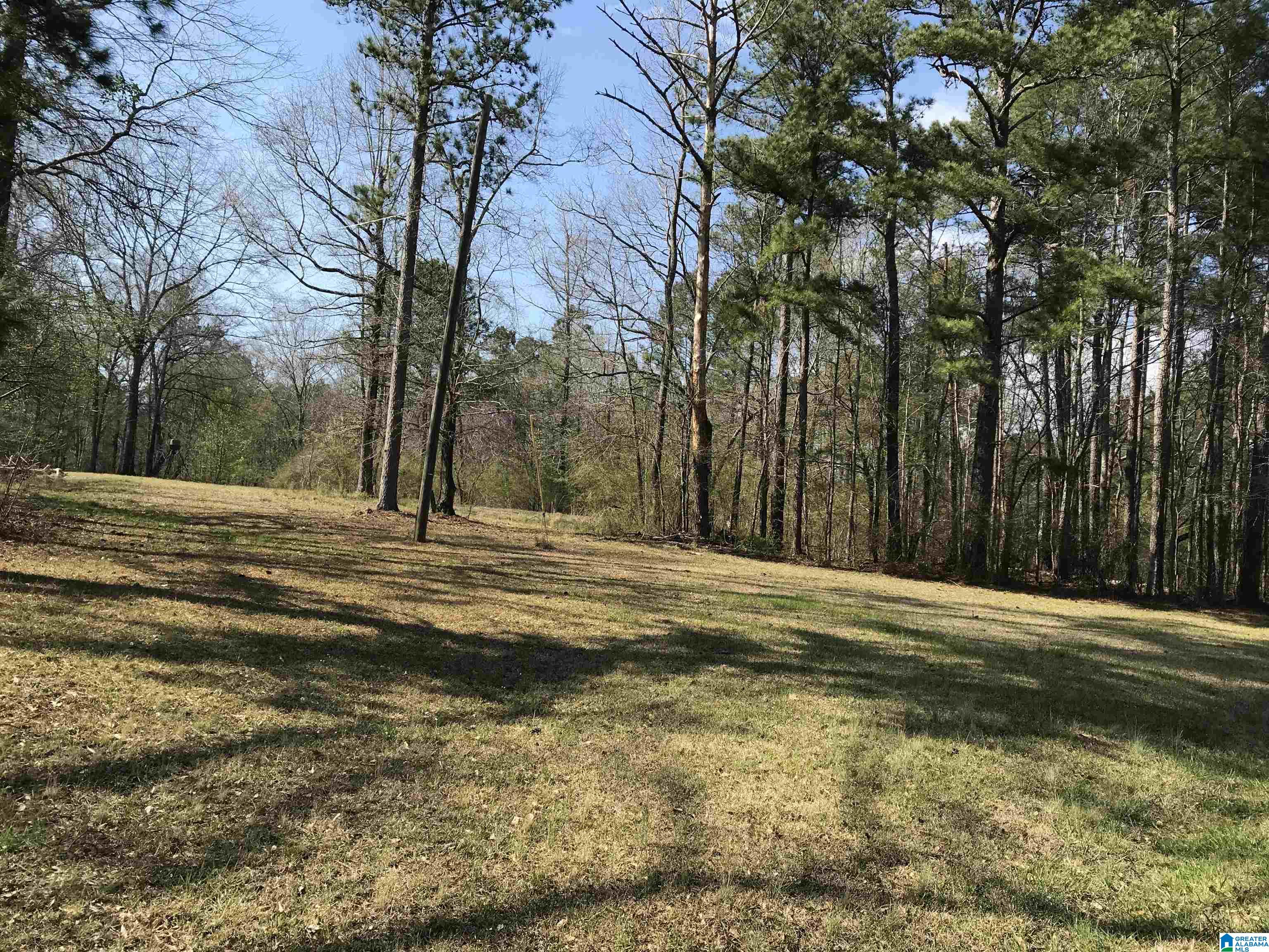 3 Chancellors Ferry Road, Unit 1 Harpersville, AL 35078 - Photo 9 of 14
