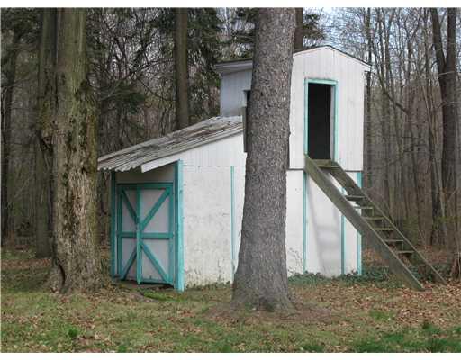 4763 Sandy Lake Road Carlton, PA 16311 - Photo 4 of 17 Other. tree house