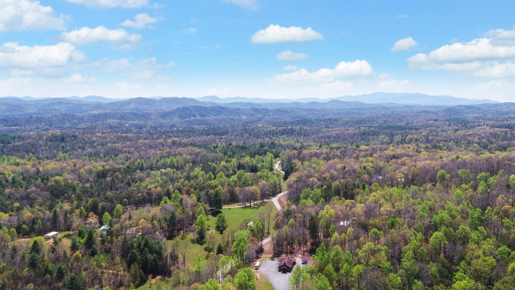313 Burger Road Murphy, NC 28906 - Photo 41 of 41
