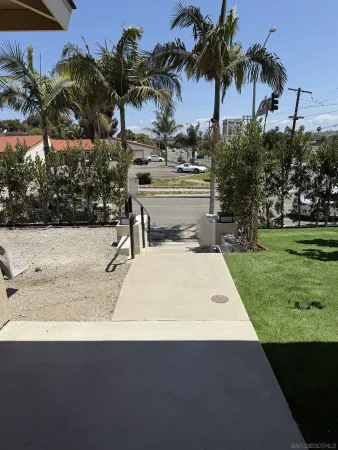 a picture of palm trees