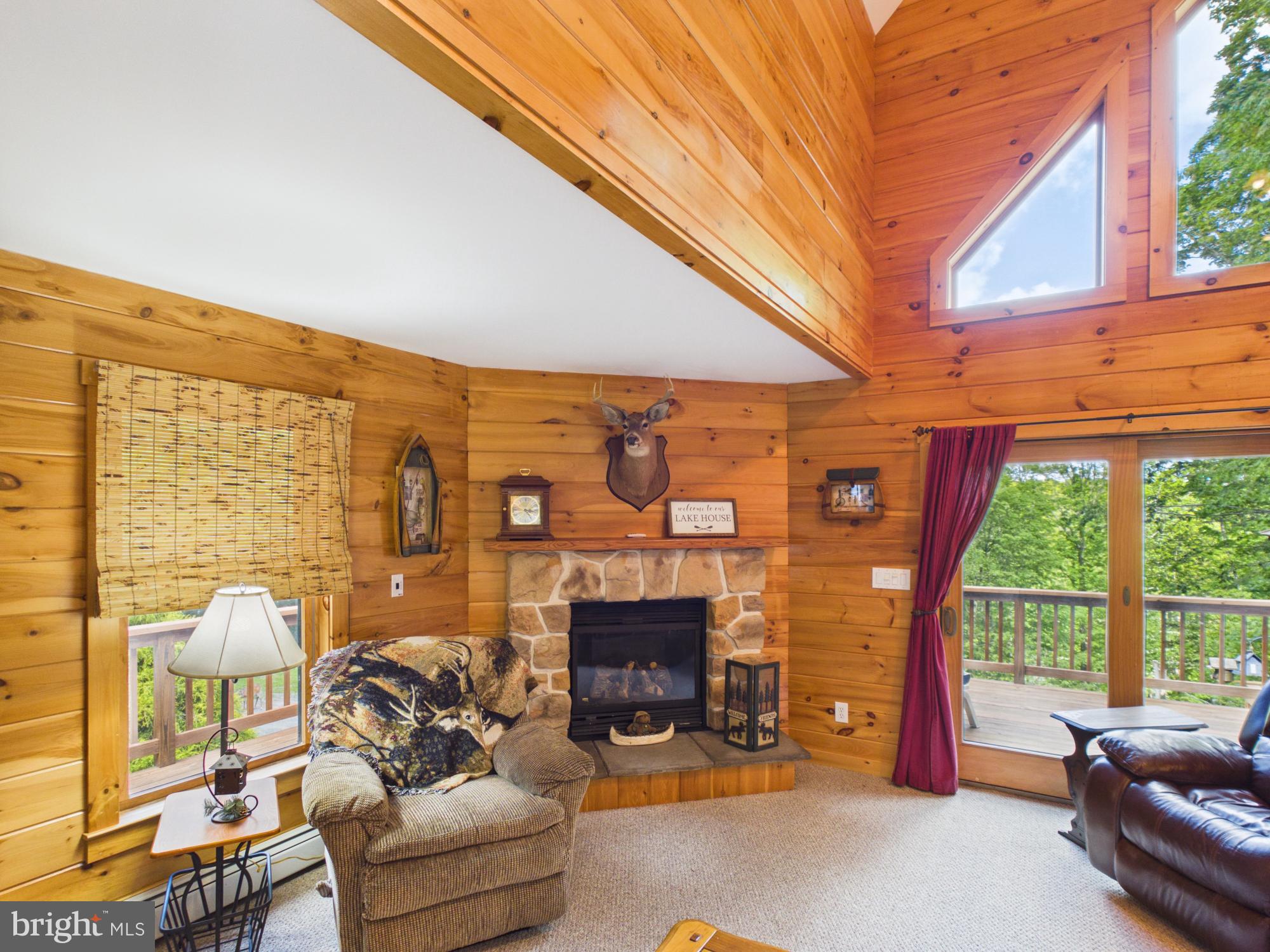 477 Finn Swamp Road Lakeville, PA 18438 - Photo 32 of 53 Propane Fireplace