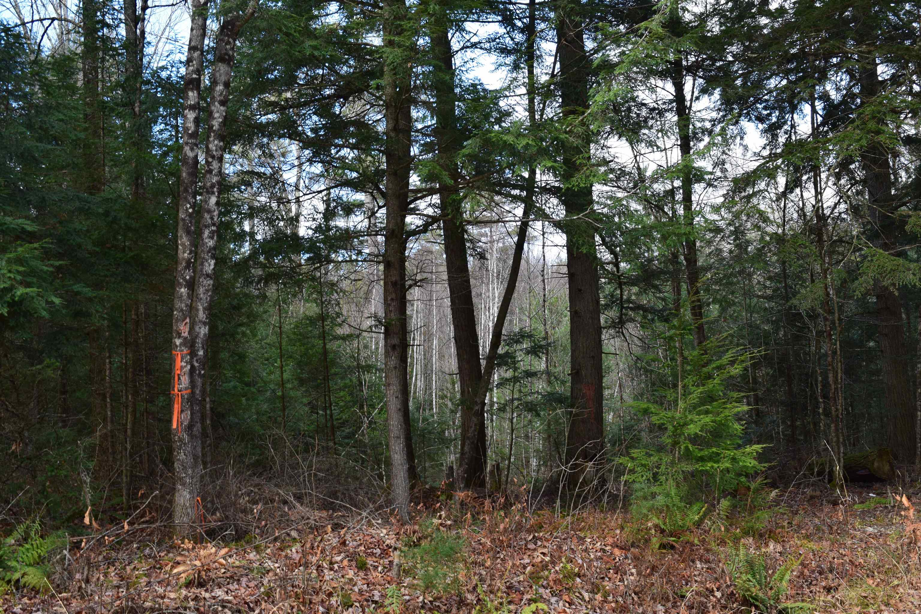 181 Carr Road, Unit 142 Haverhill, NH 03785 - Photo 8 of 13 Gallery Image 8