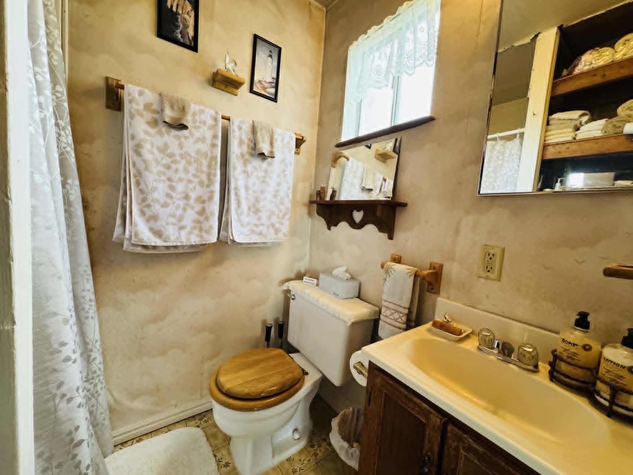 6231 Ridgetop Road Anderson, CA 96007 - Photo 40 of 49 a bathroom with a sink and a toilet