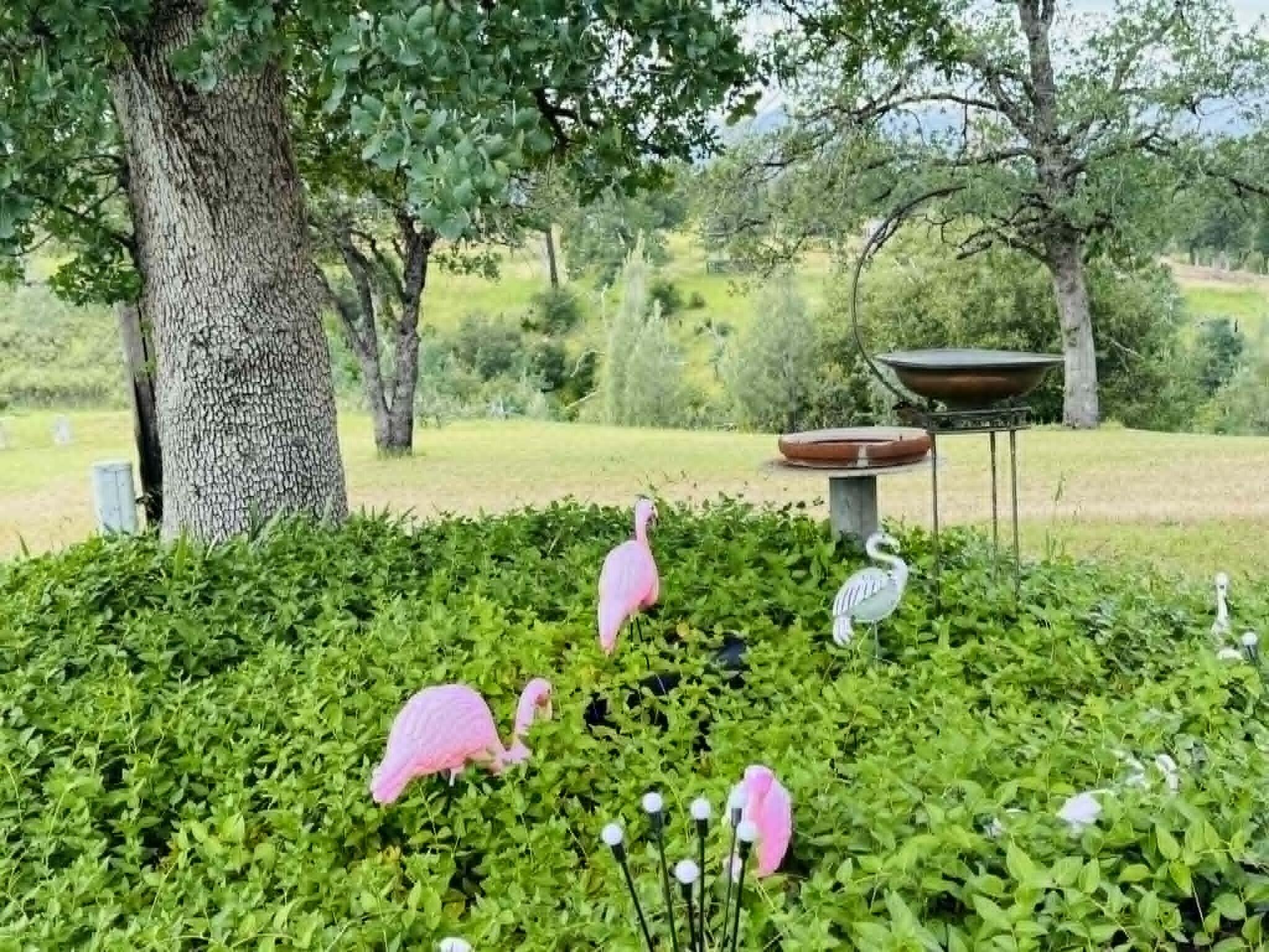 6231 Ridgetop Road Anderson, CA 96007 - Photo 42 of 49 a backyard of a house with table and chairs plants and large trees