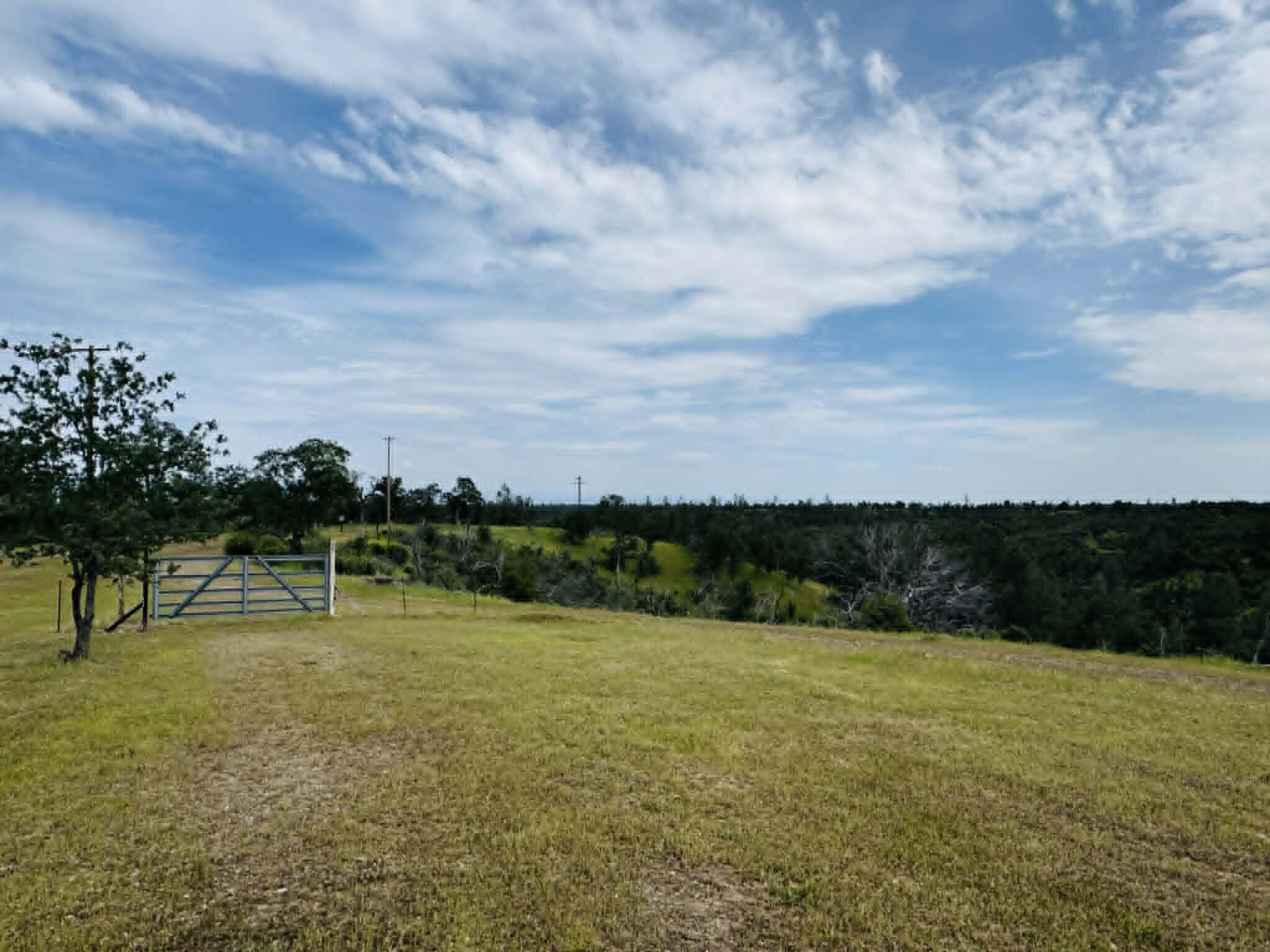 6231 Ridgetop Road Anderson, CA 96007 - Photo 45 of 49 a view of lake with green field