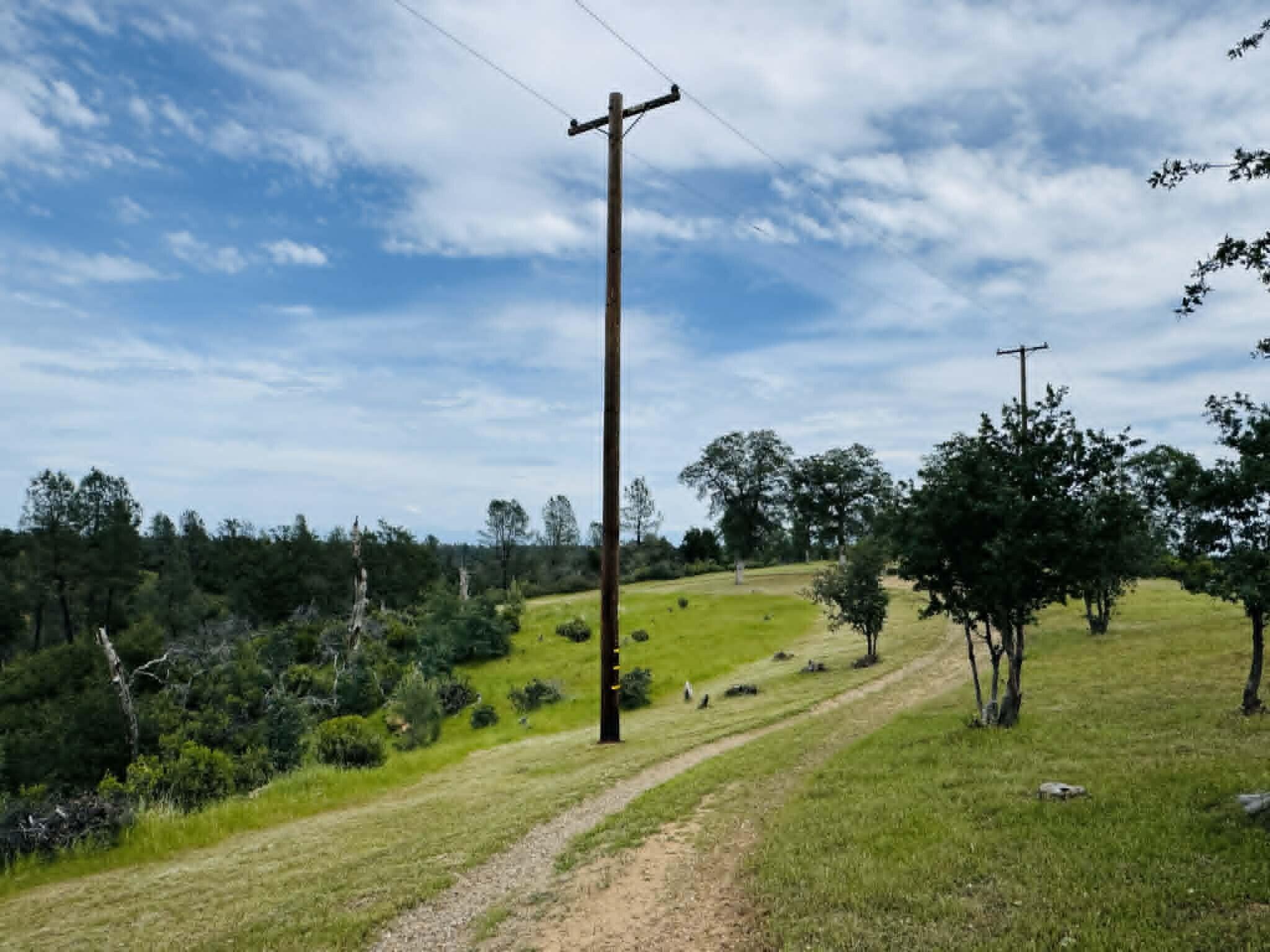 6231 Ridgetop Road Anderson, CA 96007 - Photo 46 of 49 a view of a park with large trees