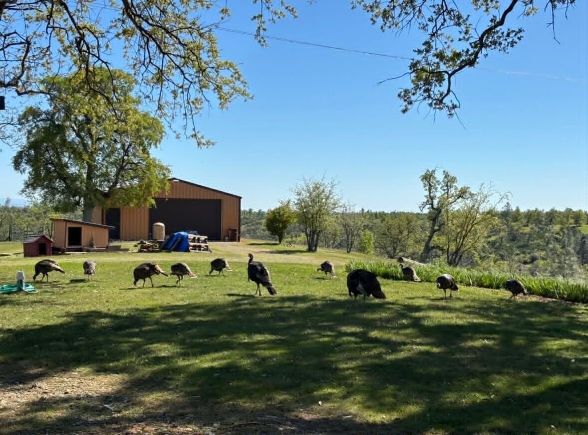6231 Ridgetop Road Anderson, CA 96007 - Photo 9 of 48 10