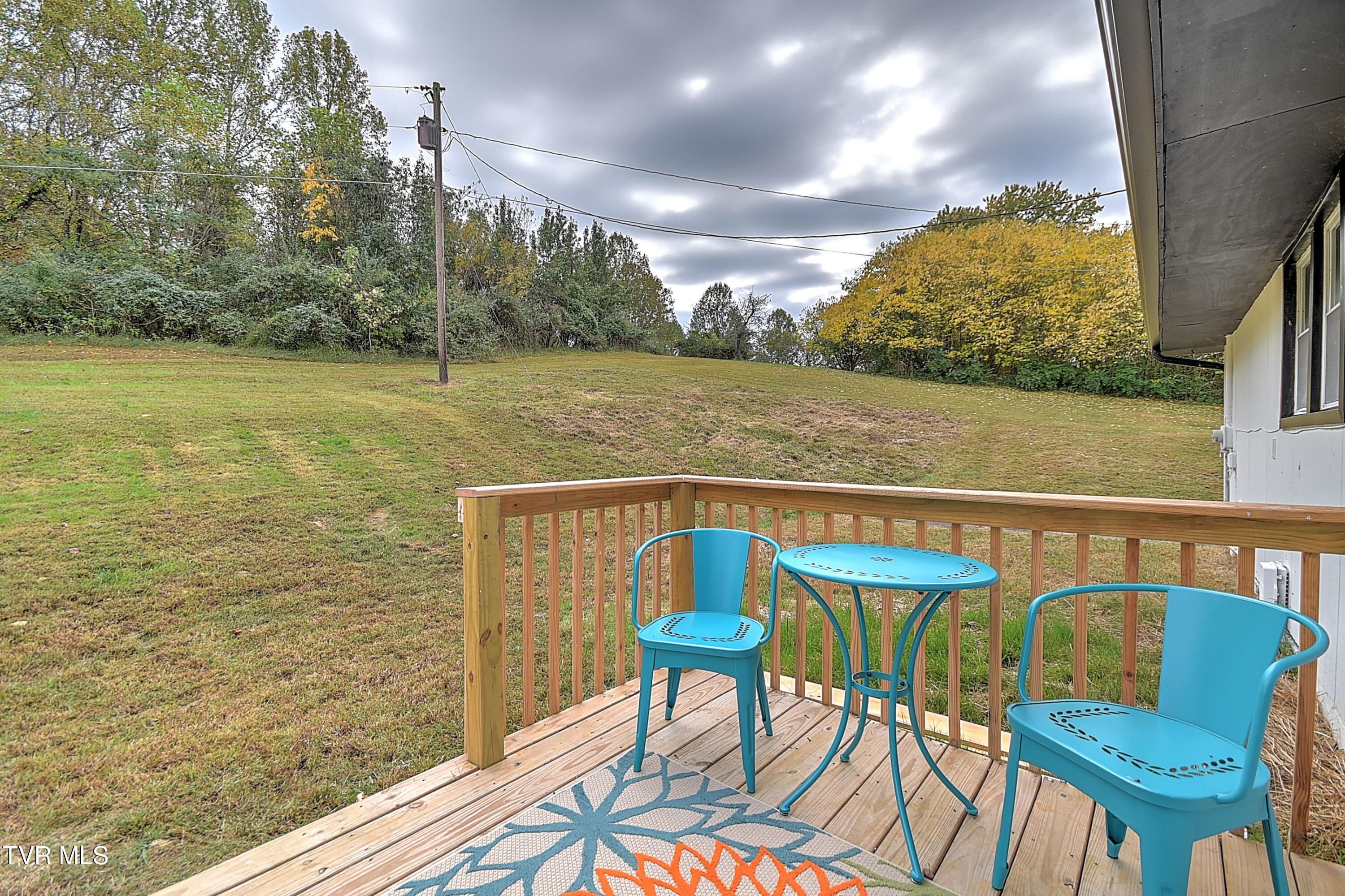 1091 Shipley Ferry Road Blountville, TN 37617 - Photo 40 of 44 1091 Shipley Ferry RF-41