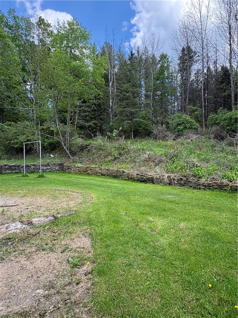1524 Thurber Road Caton, NY 14830 - Photo 4 of 15
