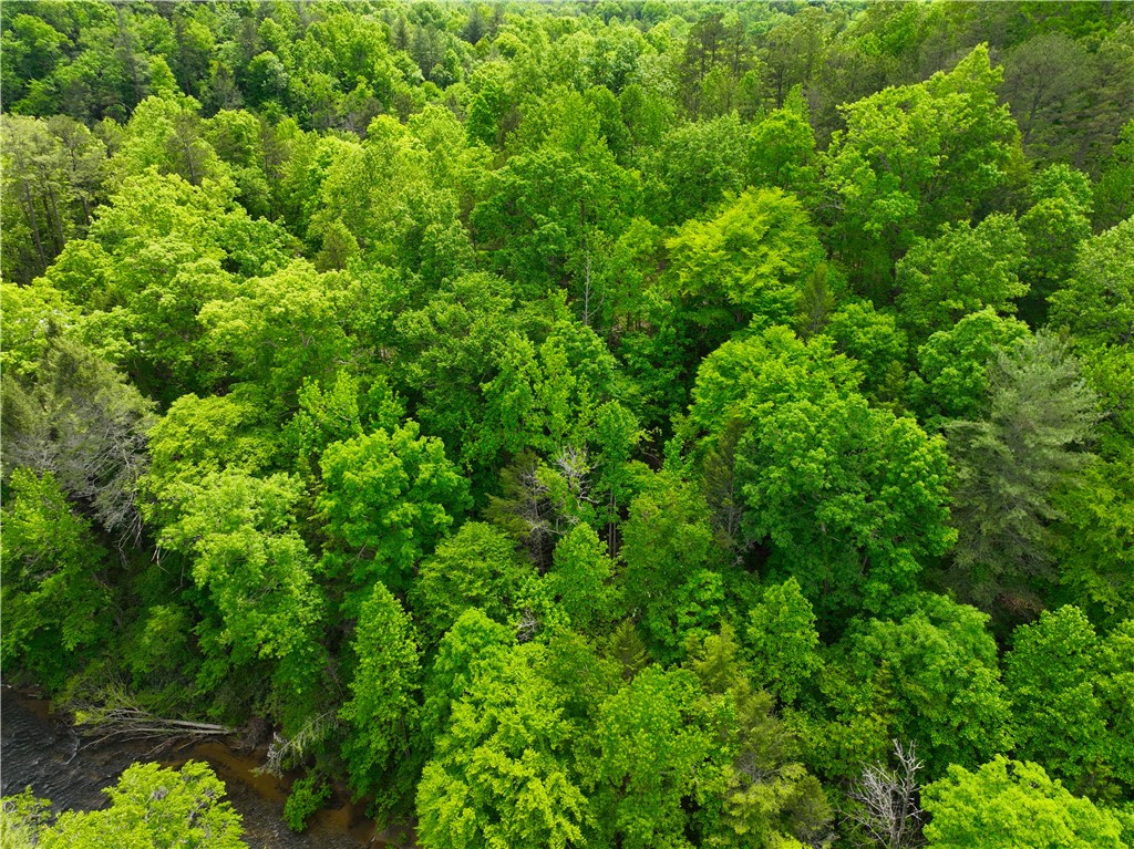 183 Chauga Valley Road Westminster, SC 29693 - Photo 10 of 31