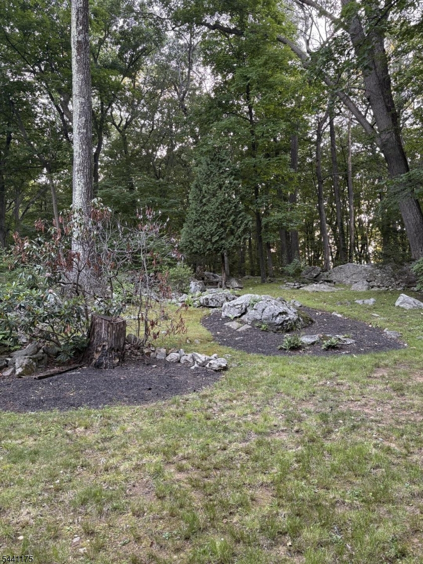 26 Mountain Road Ledgewood, NJ 07852 - Photo 22 of 24