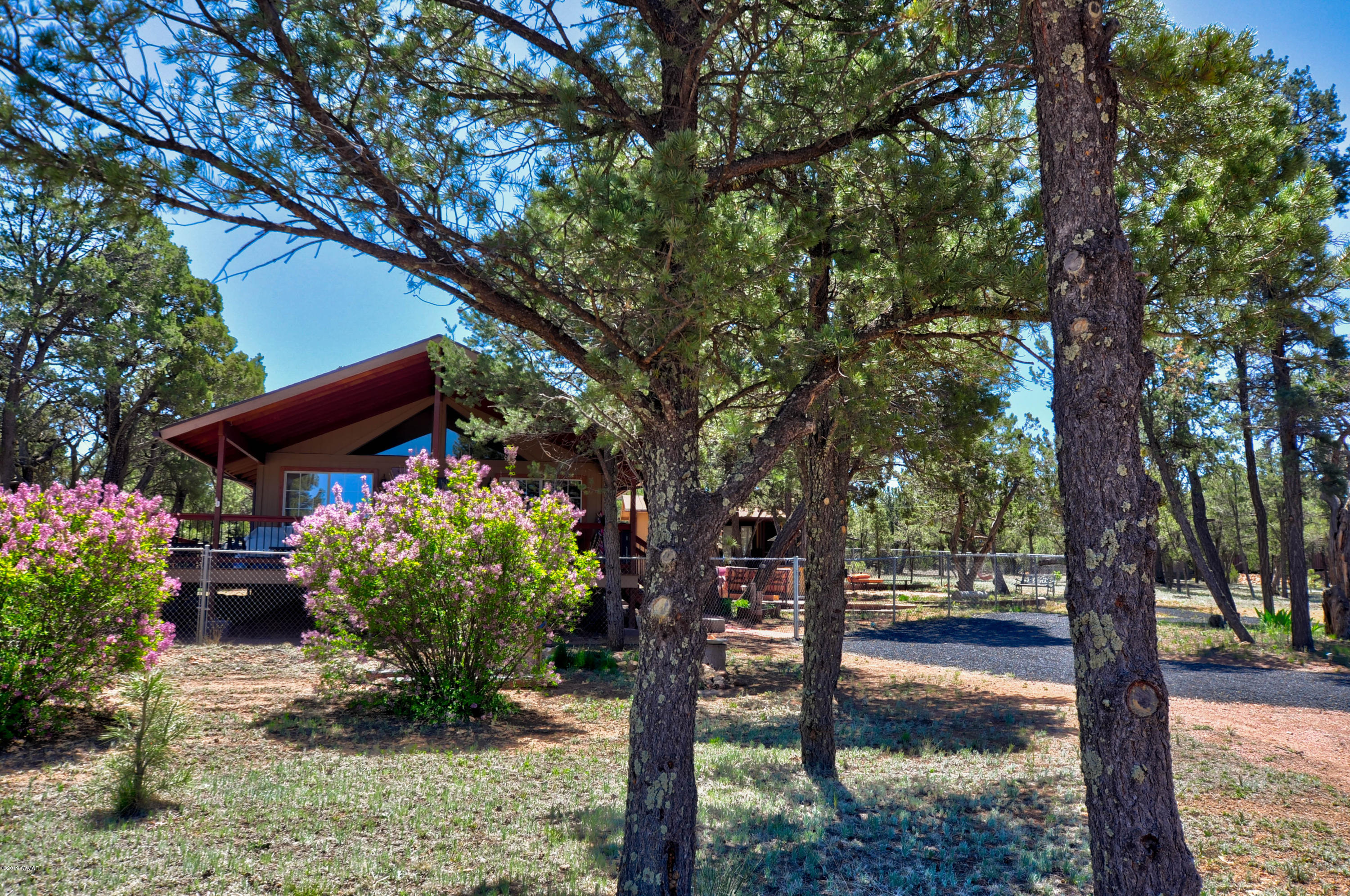 3131 Aspen Road Overgaard, AZ 85933 - Photo 26 of 27