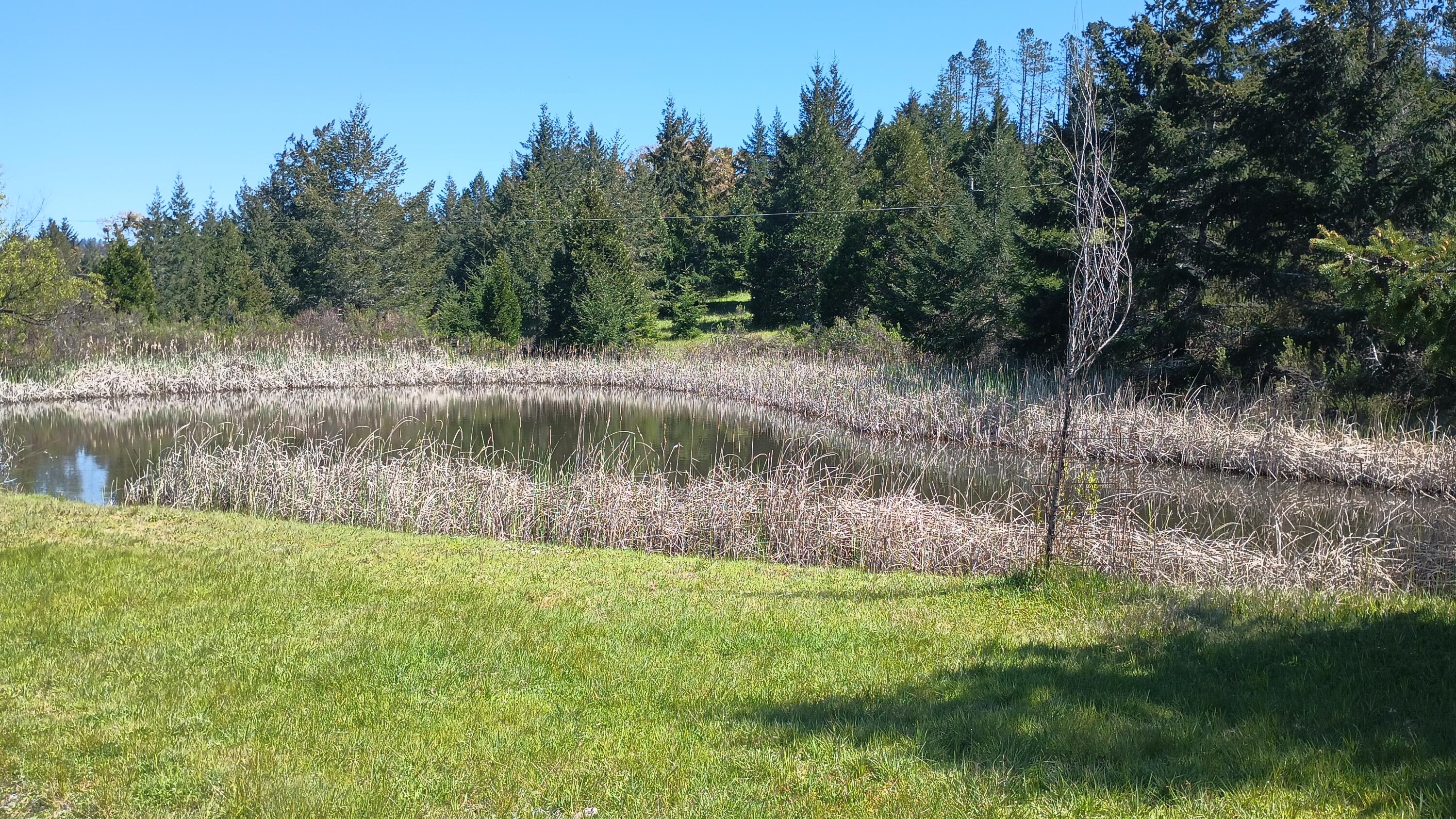 3951 Upper Thomas Early Ranch Road Miranda, CA 95553 - Photo 26 of 57