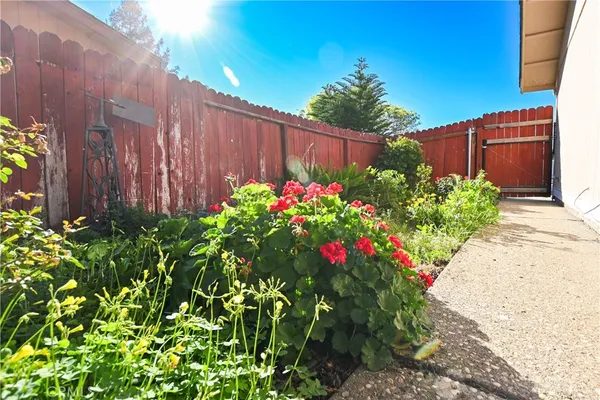 a view of a garden with flowers