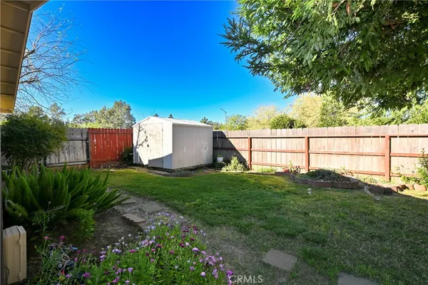 a view of backyard with large trees and plants