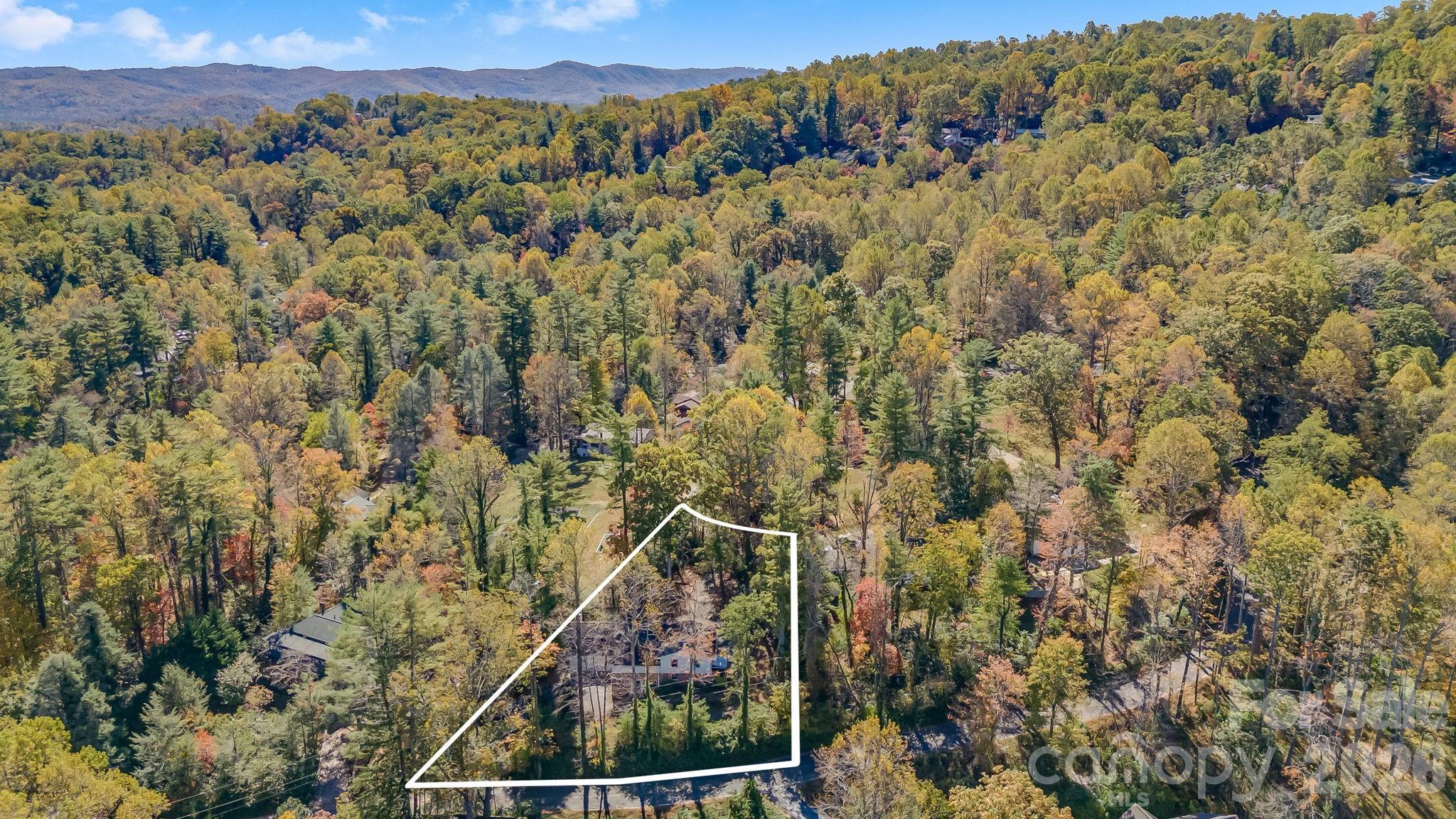 203 Davis Mountain Road Laurel Park, NC 28739 - Photo 37 of 41