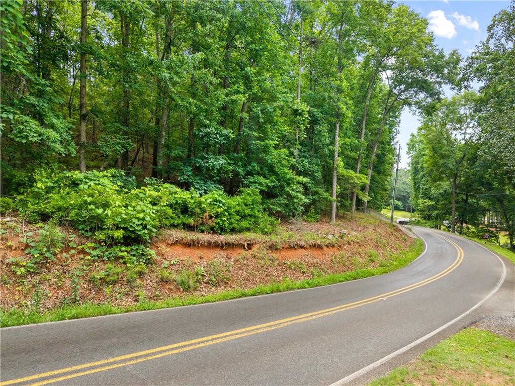 0 Flatbottom Road Ball Ground, GA 30107 - Photo 5 of 11