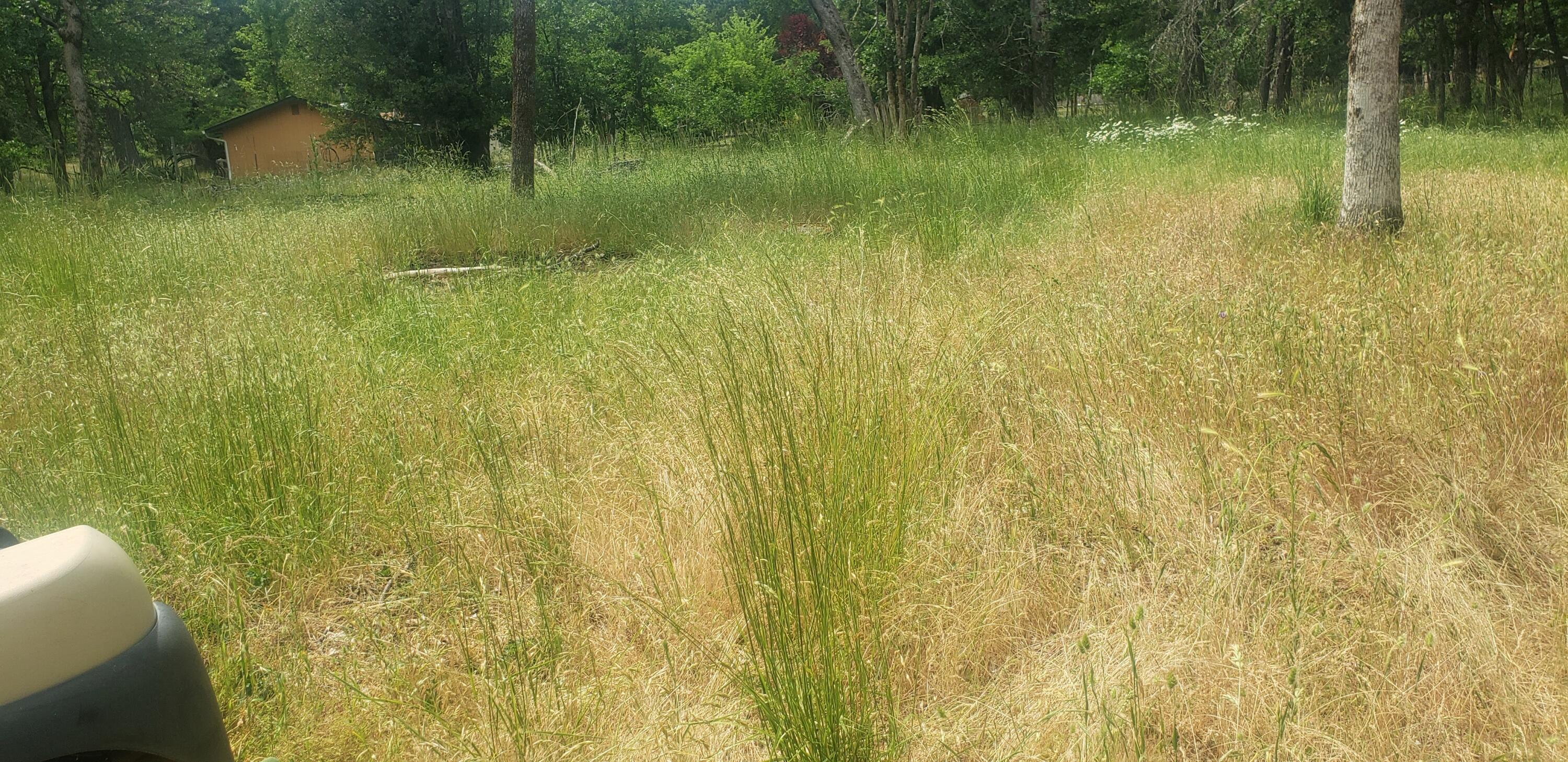 1424 Dick George Road Cave Junction, OR 97523 - Photo 20 of 23 beyond the house towards the west property line