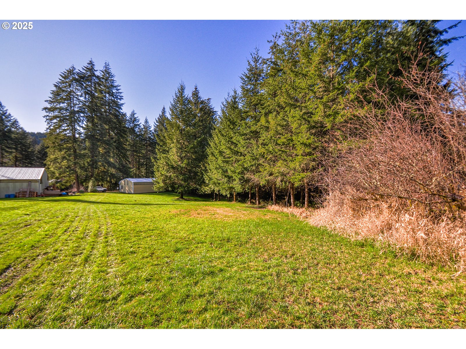 19597 Rutters Road Clatskanie, OR 97016 - Photo 33 of 38 Pasture