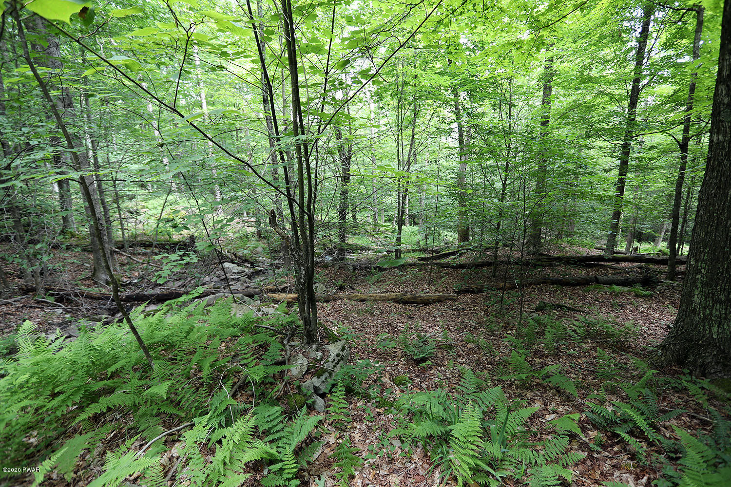 0 Minckler Mountain Road Equinunk, PA 18417 - Photo 3 of 39