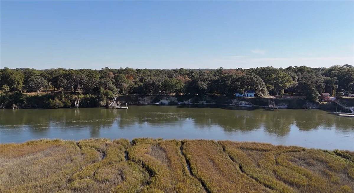 2423 Johnson Road Townsend, GA 31331 - Photo 6 of 11