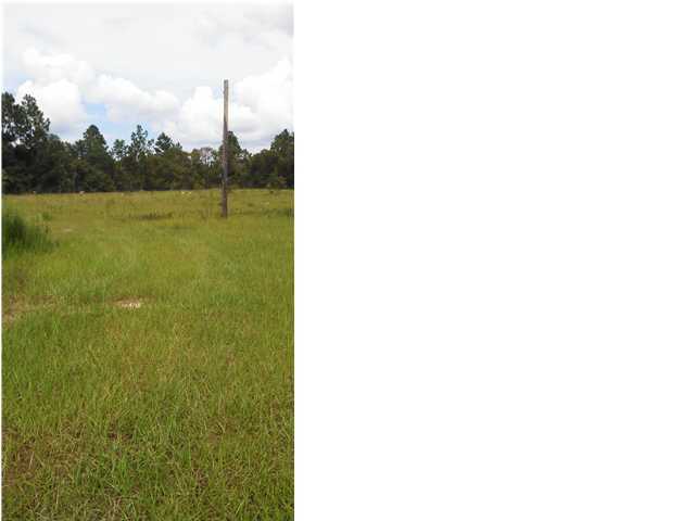 182 Squirrel Haven Road DeFuniak Springs, FL 32435 - Photo 2 of 5 Additional Photo