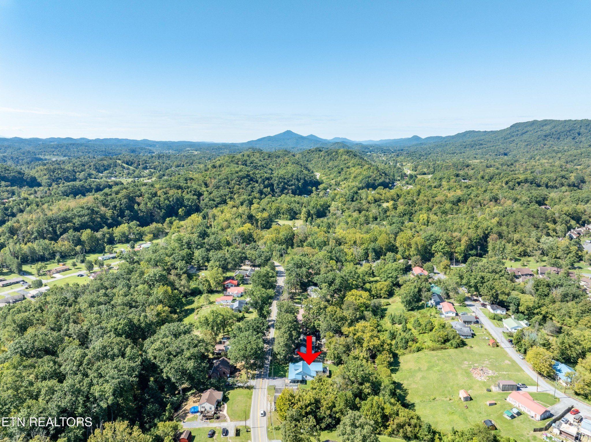 2316 Reservoir Road Kingsport, TN 37660 - Photo 18 of 22 a view of a lush green field with lots of bushes
