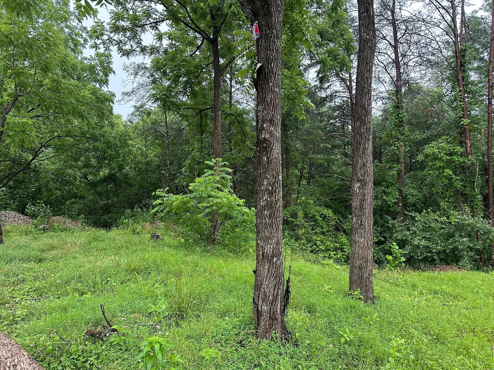 4 Sawmill Road Palmer, TN 37365 - Photo 9 of 9 Gallery Image 9