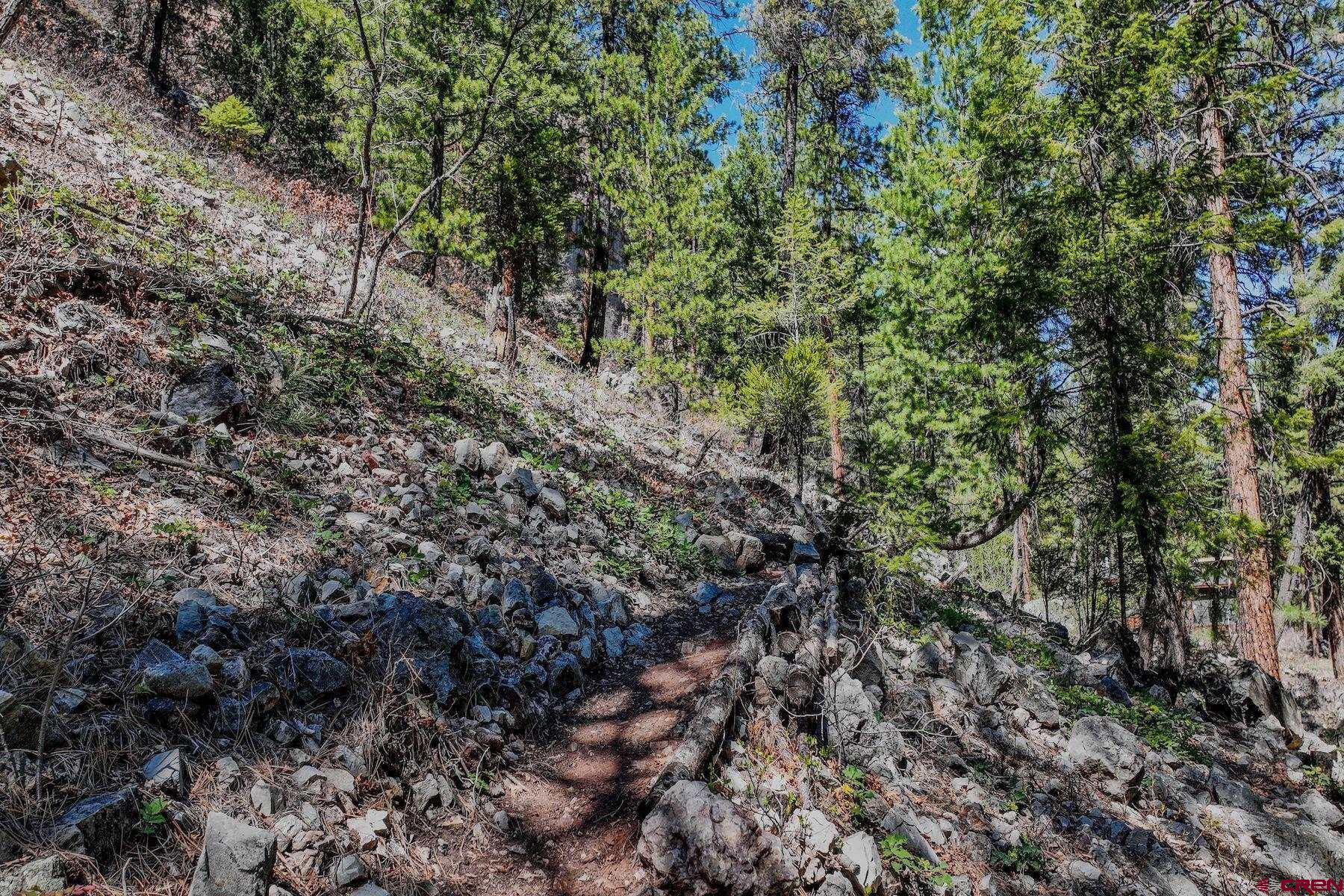 34 Crocus Court Durango, CO 81301 - Photo 27 of 30 a view of a forest with lots of trees