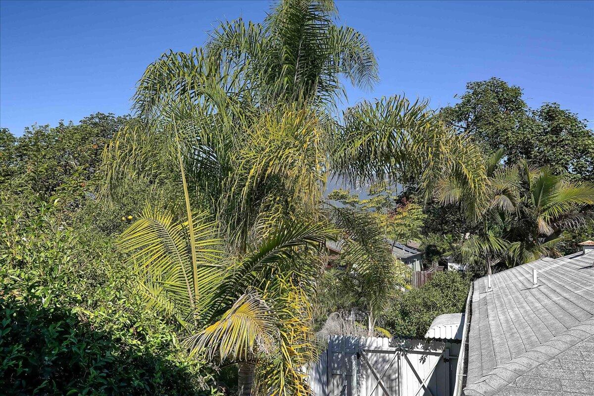 0 Mountain Avenue Santa Barbara, CA 93101 - Photo 11 of 24 a view of outdoor space and yard