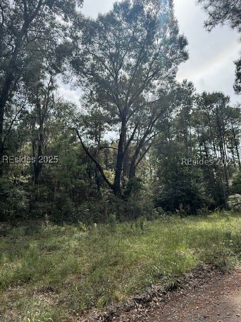 112 School Road Daufuskie Island, SC 29915 - Photo 3 of 7