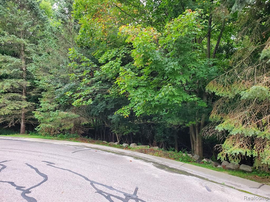 26289 Power Road Farmington Hills, MI 48334 - Photo 23 of 63
