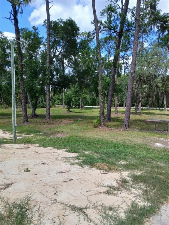 6800 Northeast 175th Street Road Citra, FL 32113 - Photo 4 of 27