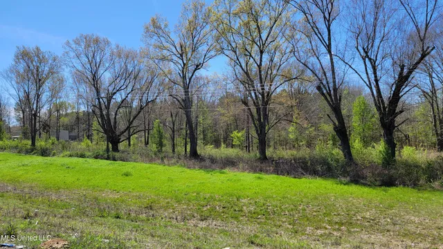 $1,850,000 | 112 Cloverleaf Drive, Madison, MS 39110