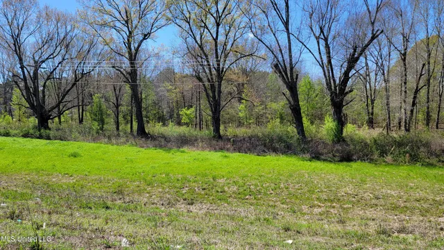 $1,850,000 | 112 Cloverleaf Drive, Madison, MS 39110