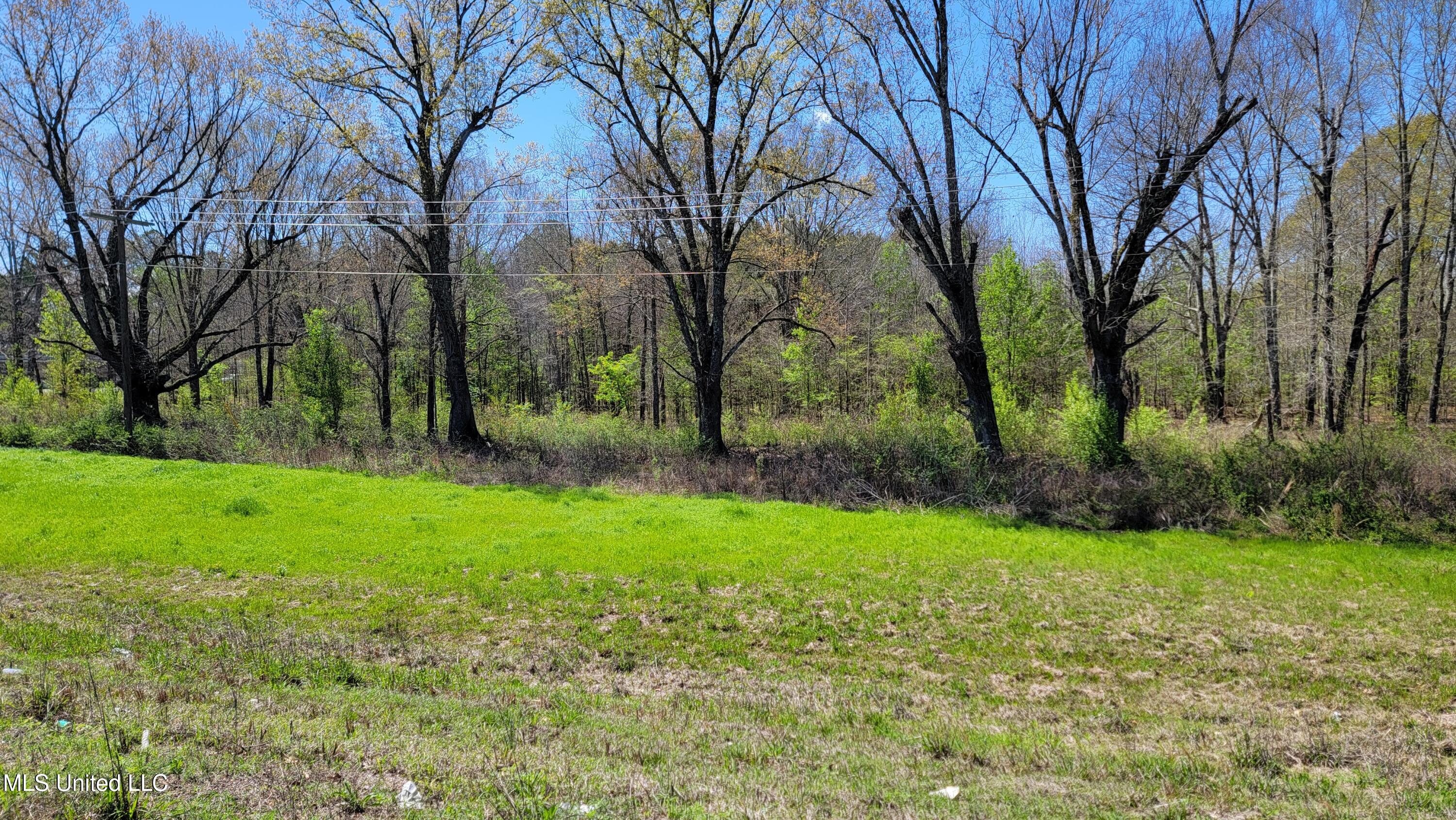 112 Cloverleaf Drive Madison, MS 39110 - Photo 2 of 5 20240318_135855