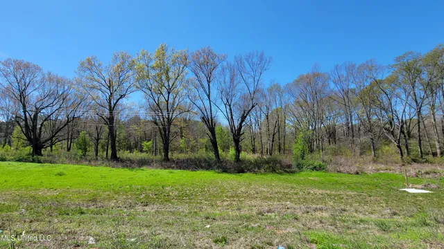 $1,850,000 | 112 Cloverleaf Drive, Madison, MS 39110