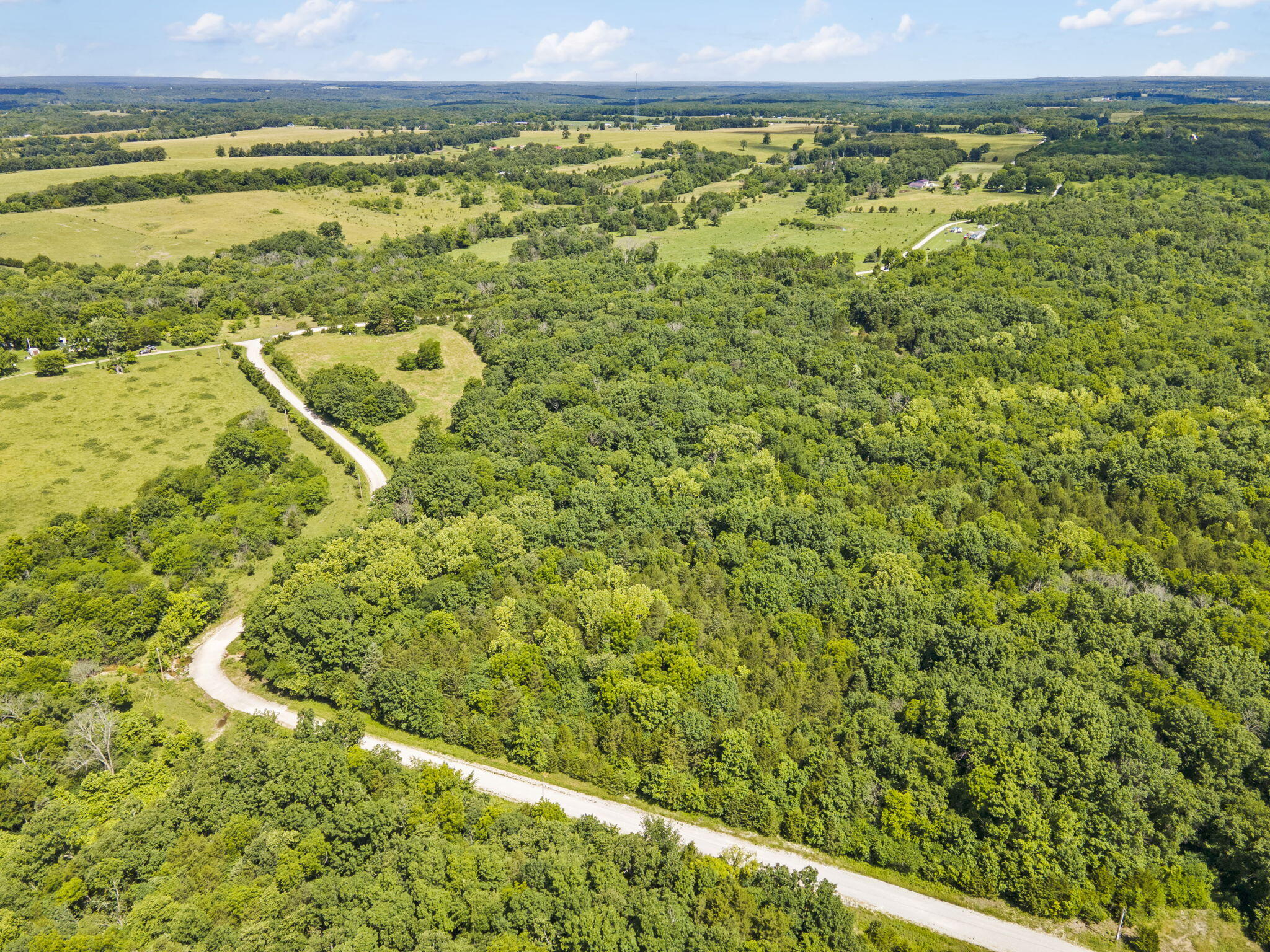 3483 South 216th Road Half Way, MO 65663 - Photo 7 of 7 Aerial View