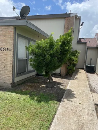 a backyard of a house with plants and trees