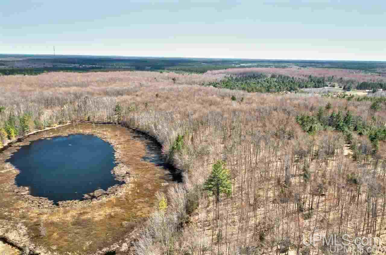 40 West Smith Lake Road Manistique, MI 49854 - Photo 19 of 24