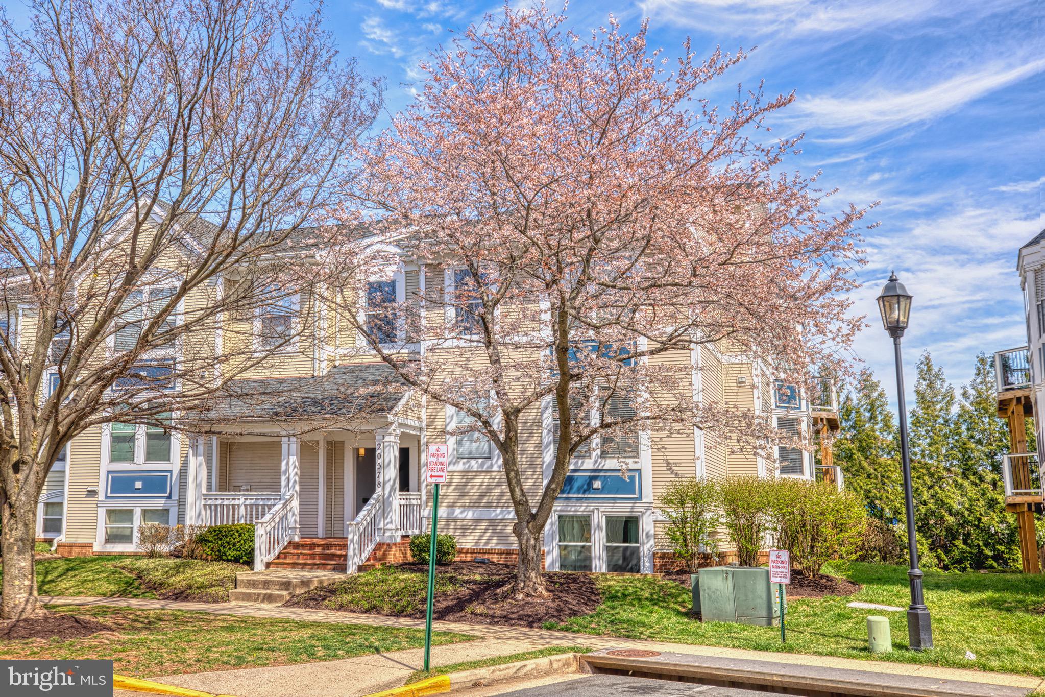 20578 Snowshoe Square, Unit 102 Ashburn, VA 20147 - Photo 1 of 41 a front view of a building with large trees