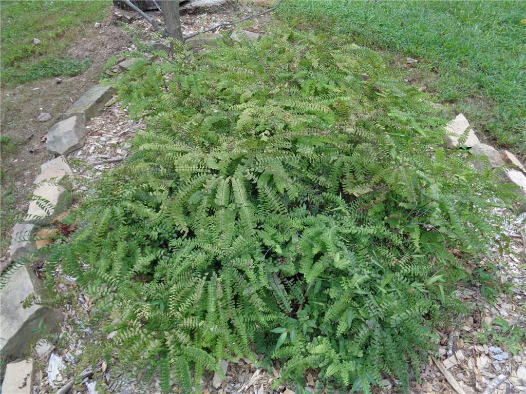 2595 Tulip Tree Road Nashville, IN 47448 - Photo 32 of 42 Gallery Image 32