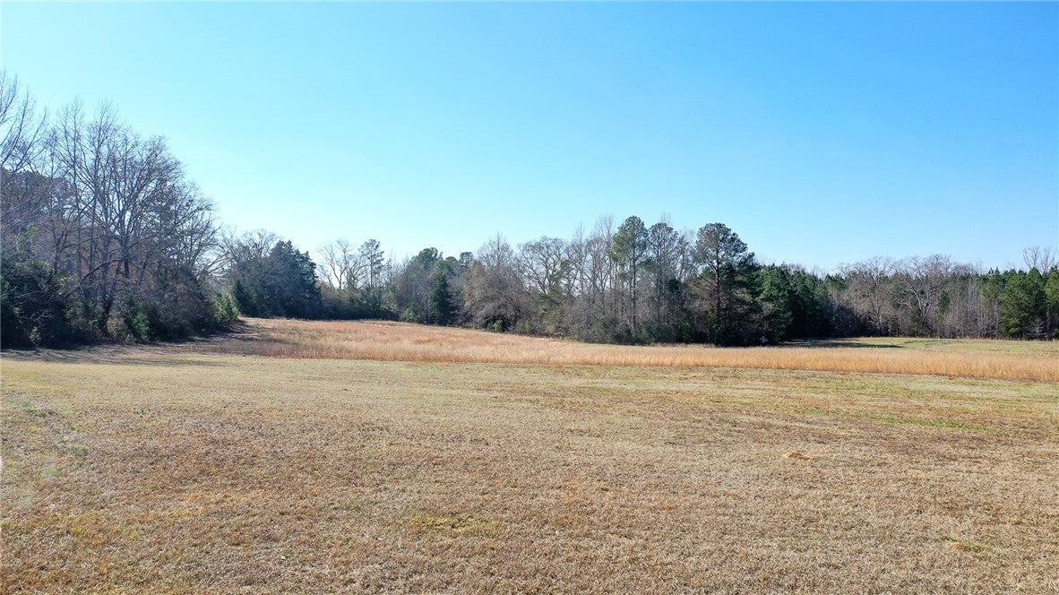 1225 Brazell Road Camp Hill, AL 36850 - Photo 1 of 15 Gallery Image 1