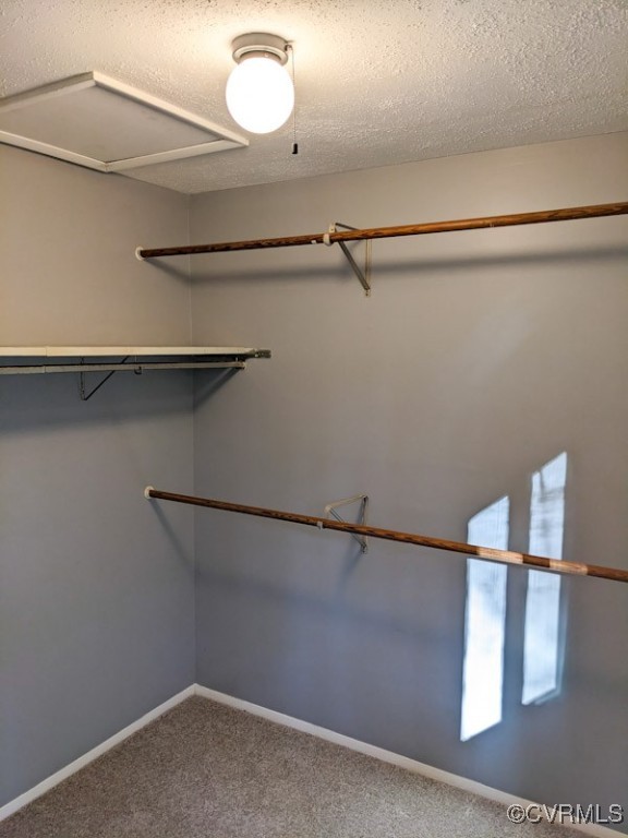 4600 Painted Post Lane Midlothian, VA 23112 - Photo 33 of 50 a view of small space