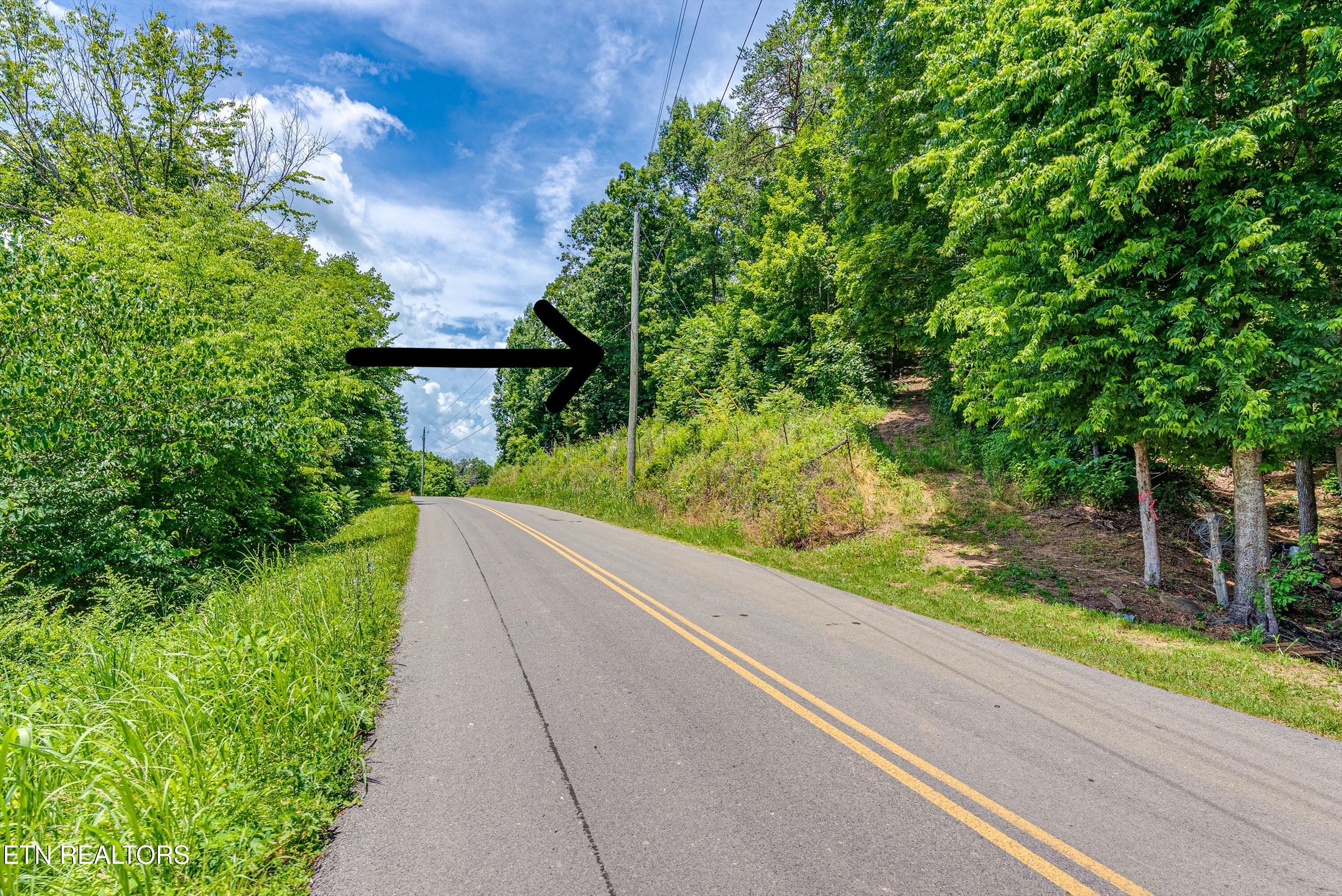 2165 Smelcer Road Parrottsville, TN 37843 - Photo 14 of 18 Ground with arrow 3