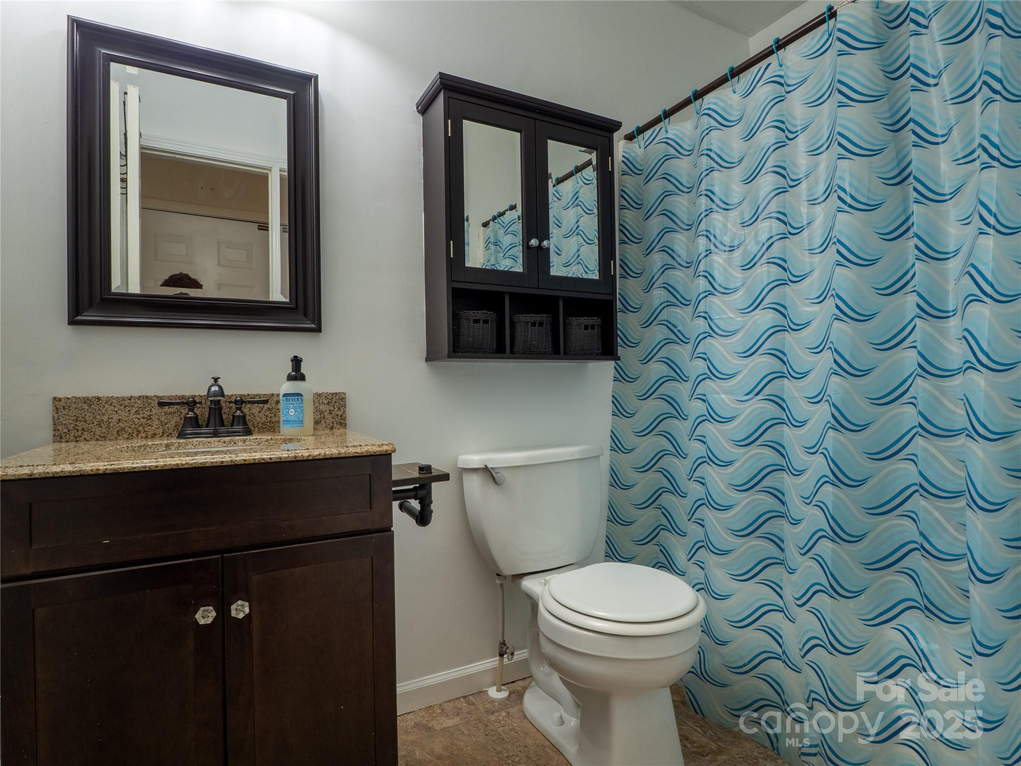 488 Oleta Road Hendersonville, NC 28792 - Photo 17 of 27 a bathroom with a toilet sink vanity and mirror