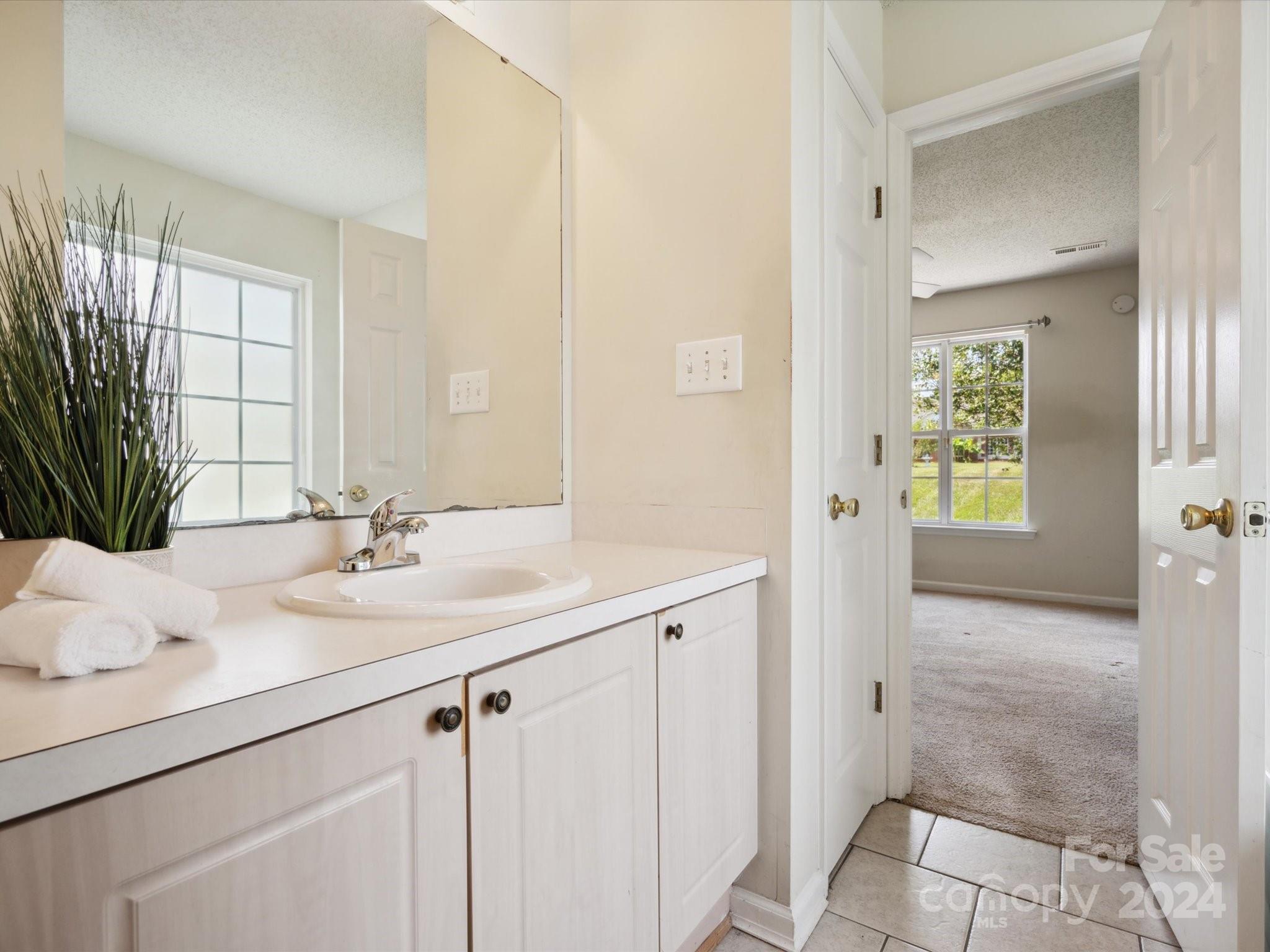 2113 River Chase Drive Monroe, NC 28110 - Photo 19 of 36 a bathroom with a sink and a mirror