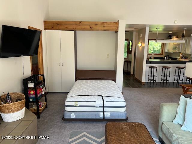 324 Hollow Road, Unit 325 East Stroudsburg, PA 18302 - Photo 9 of 17 a bedroom with furniture and a flat screen tv