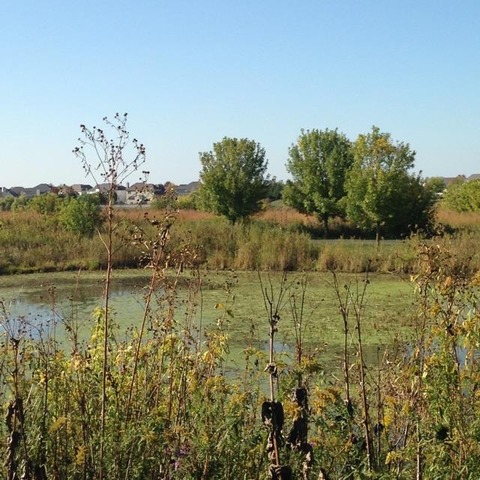 565 Springbrook Trail North Oswego, IL 60543 - Photo 5 of 21 a view of lake