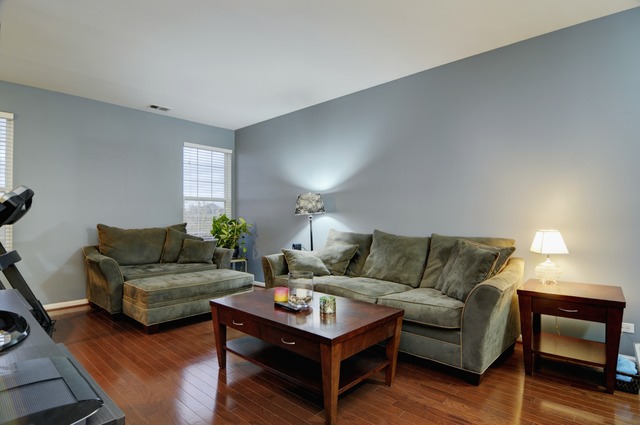 565 Springbrook Trail North Oswego, IL 60543 - Photo 8 of 21 a living room with furniture and a wooden floor
